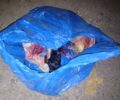 Χανιά:  Βρήκαν και αυτά τα γατάκια στα σκουπίδια